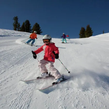 Appartement Spacious In Niedersfeld Near Ski Area
