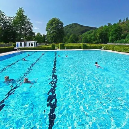 Διαμέρισμα Spacious In Niedersfeld Near Ski Area *